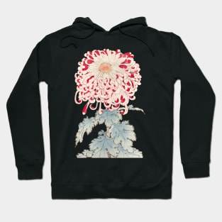 Pink Chrysanthemum 4 - Hasegawa - Traditional Japanese style - Botanical Illustration Hoodie